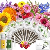 LYKOCLEAN Herb Seed Pod Kit Compatible with AeroGarden Hydroponics Growing System, Complete Indoor Gardening Supply (Vibrant Flower, 8-pods)