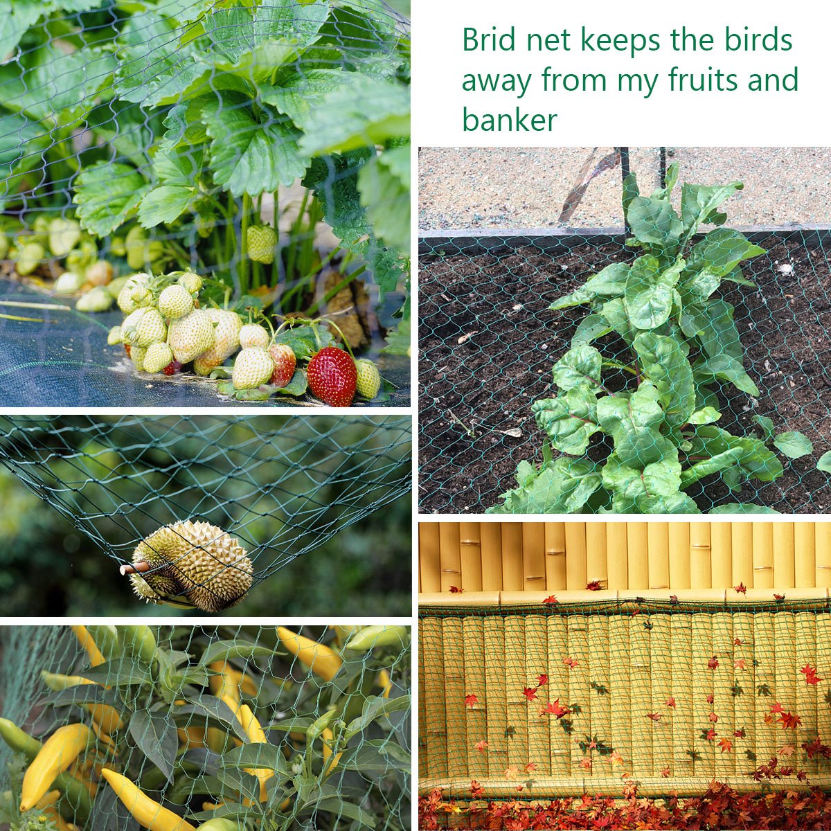 Fruit Trees Home Gardening Apple, Cherry, Pear, Plum Netting For