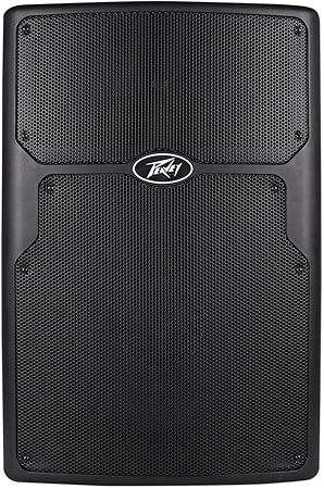 peavey pvx 15