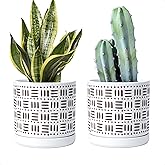 D'vine Dev Set of 2 Ceramic Planter Pots with Drainage Hole and Saucer, 6 Inch Plant Pots for Plants Indoor Houseplants, White, 99-Z-F-1-Y