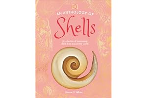 An Anthology of Shells: A Collection of Fascinating Shells from Around the World