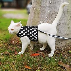 Yizhi Miaow Cat Harness and Leash for Walking