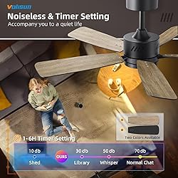 VOLISUN Low Profile Ceiling Fan with Light, 44 inch