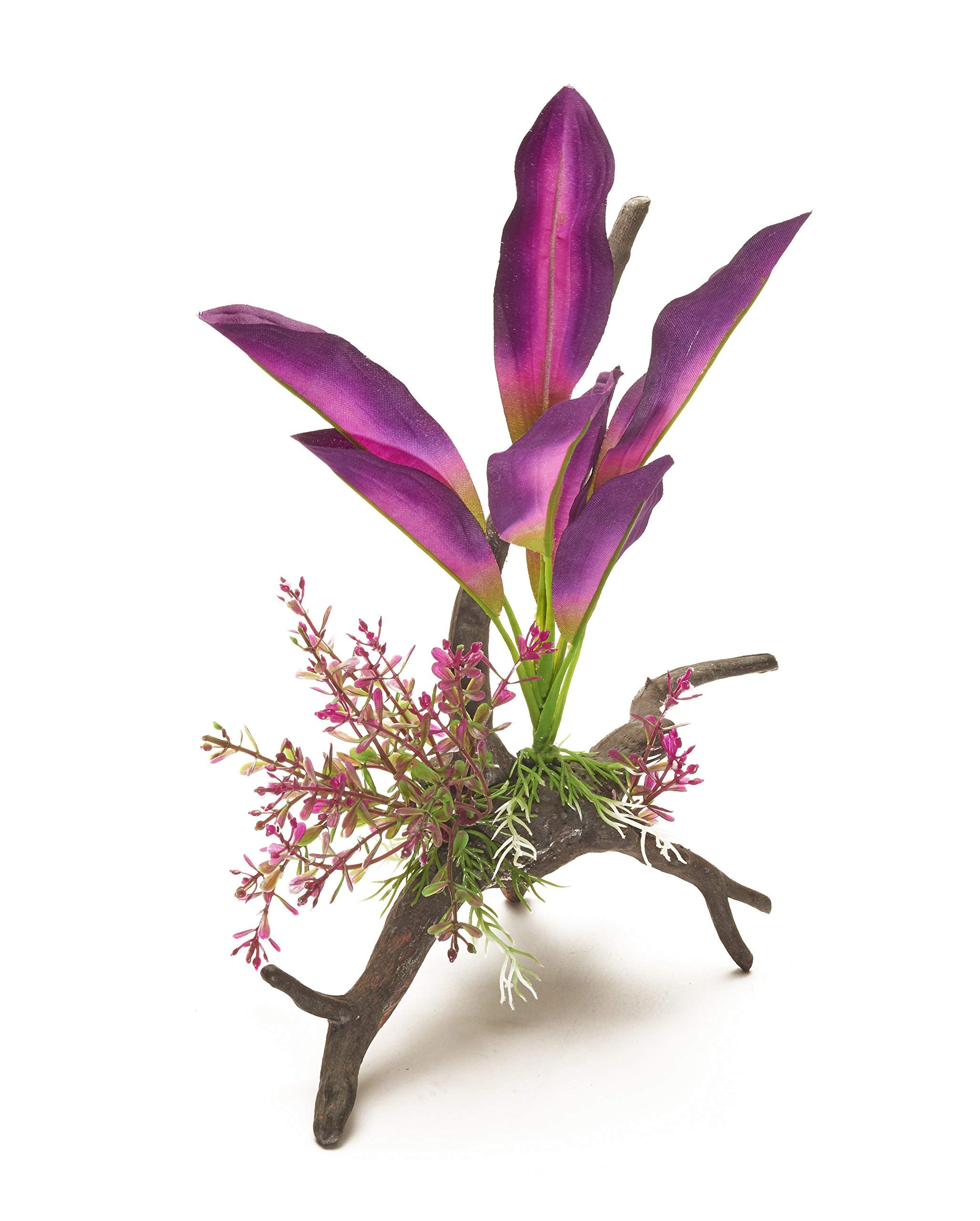 Pistachio Pet - Beautiful Realistic Aquarium Plant On Root 11"/28 cm high. New For 2017!