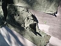 Review Image by Micheal R. Lee