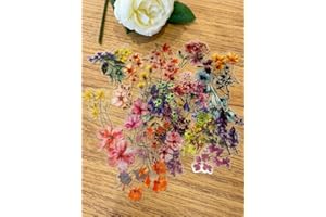 50 Pcs Natural Flower Stickers for Scrapbooking, Self-Adhesive Journal Supplies for Card Making, Letters, DIY Floral Decor