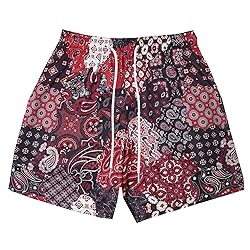 DIOTSR Mens Mesh Paisley Shorts, Casual Retro