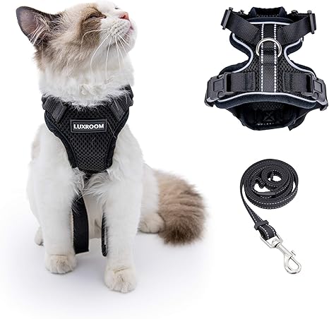 escape proof cat harness amazon