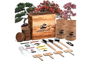 Sproutix Bonsai Garden Starter Kit, 4 Seeds Growing into Sakura, Ginkgo, Black Pine, Red Flame, Including Complete Gardening Tools & A Wooden Box with Cover, Christmas Gifts for Men Women Beginners