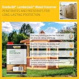 Everbuild Wood Preserver Interior Exterior Quick Drying Low Odour Clear 1 Litre view 3