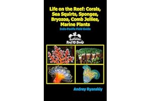 Life on the Reef: Corals, Sea Squirts, Sponges, Bryozoa, Comb Jellies, Marine Plants: Indo-Pacific Field Guide (Coral Reef Ac