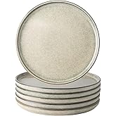 AmorArc Dinner Plates Set of 6, 10.5 Inch Reactive Glaze Ceramic Plates Set, Microwave, Dishwasher Safe, Scratch Resistant, Modern Large Dinnerware Dishes Set Kitchen Stoneware Plates