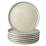 AmorArc Dinner Plates Set of 6, 10.5 Inch Reactive