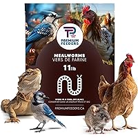 11lb Dried Mealworms by Premium Feeders – Approx 175000+ Dried Mealworms - Chicken & Bird Feed - Meal Worms Treats - High Pro
