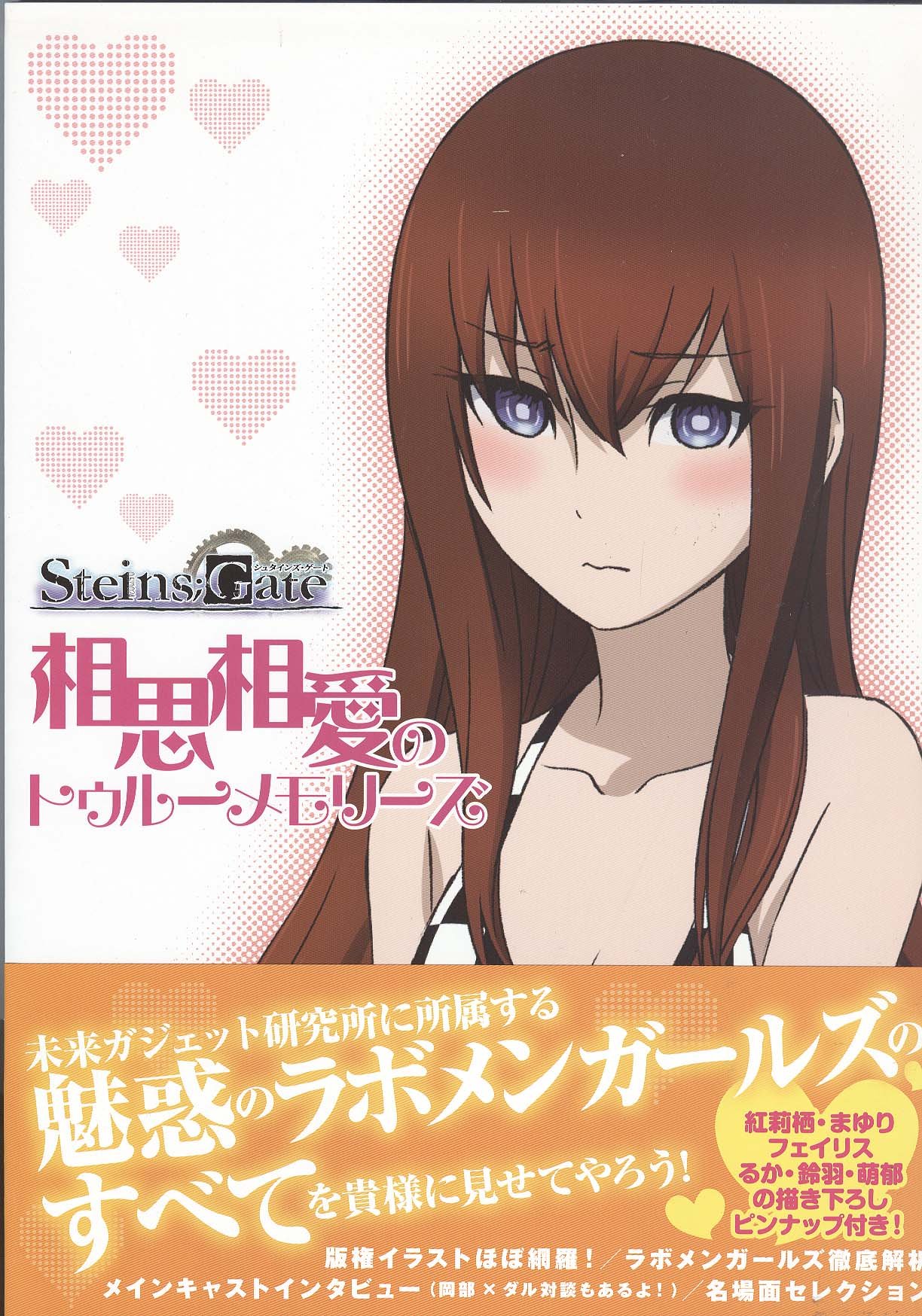 Steins Gate Soushi Souai No True Memories Art Book Japanese Various Amazon Com Books
