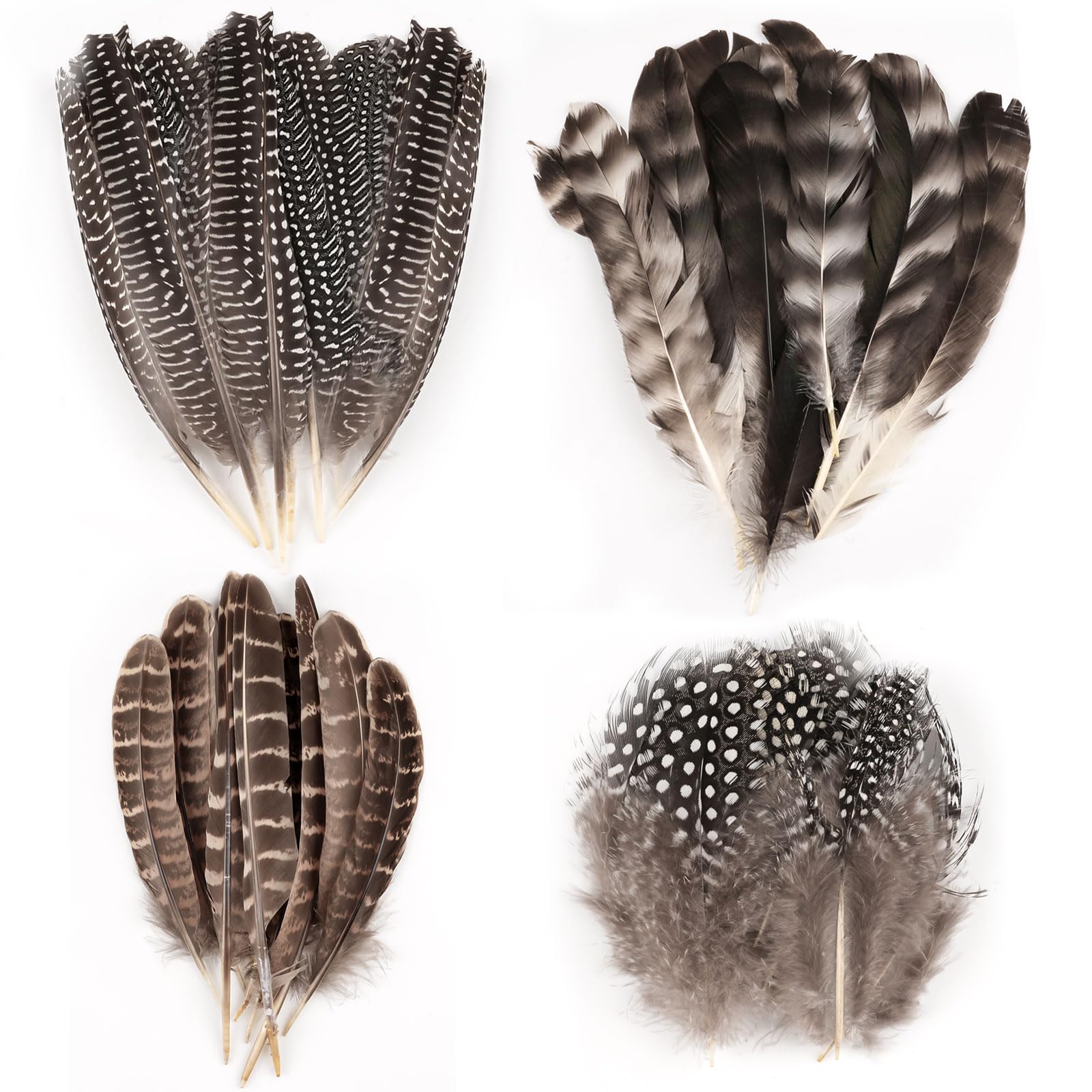 50 Pcs 4 Styles Natural Feathers for Crafting, Brown Pheasant Feathers, Speckled Craft Feathers, 13-19 Cm Pheasant Tails for DIY Hats Party Deco Cosply Dream Catchers - 4 Sizes