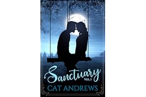 Sanctuary: A Modern Pride and Prejudice Variation: Volume 1