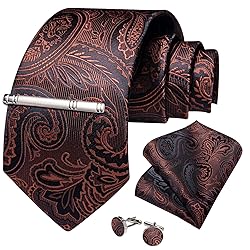 DiBanGu Silk Paisley Ties for Men Woven Necktie and