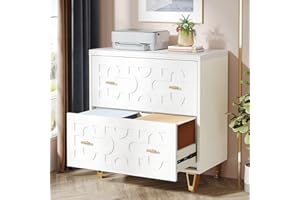 Tribesigns 2-Drawer Lateral File Cabinet, Modern White Filing Cabinet for Legal/Letter/A4 Size, Large Storage Filing Cabinet 