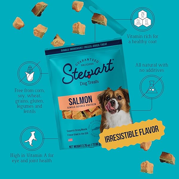 STEWART WILD SALMON DOG TREATS, 2.75 OZ, ~55 PIECES, FREEZE DRIED RAW, SINGLE INGREDIENT, 65% PROTEIN TRAINING TREATS OR MEAL TOPPER IN A RESEALABLE POUCH, GRAIN FREE, GLUTEN FREE