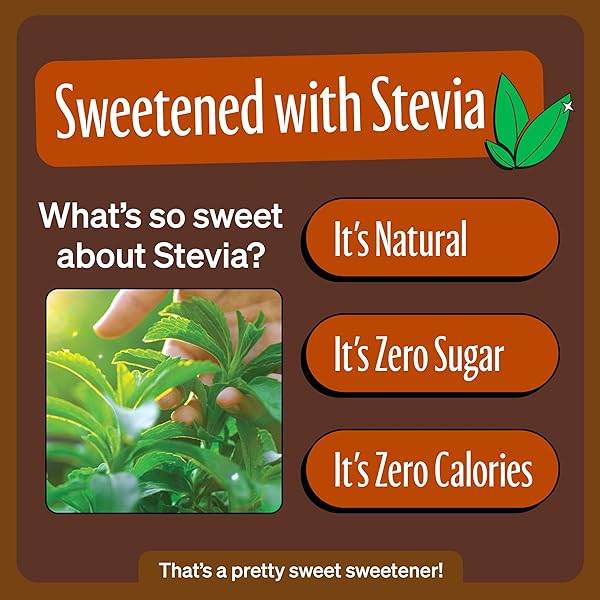 ZEVIA ZERO SUGAR SODA, GINGER ROOT BEER, 16 OZ CANS (12-PACK) – NATURALLY SWEETENED, NON-GMO PROJECT VERIFIED, GLUTEN-FREE, VEGAN
