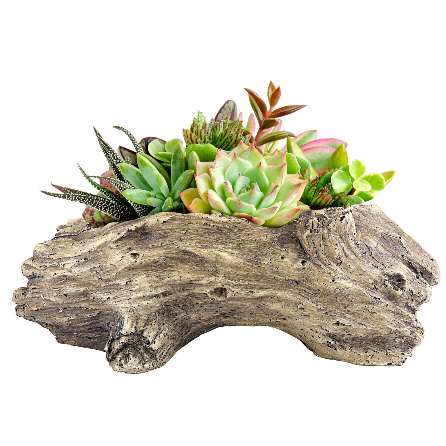 Photo 1 of Aclema Succulent Planters Driftwood Planter Succulent Pots Small Plant Flower Cactus Pots Tree Stumb Wood Planter with Drainage Hole