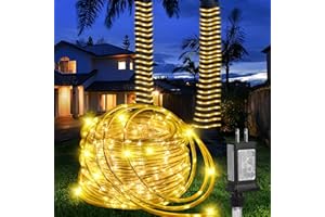 PUHONG (New) Rope Lights, 100FT 300 LED Connectable Rope Lights, Waterproof Tube Lights with 8 Modes for Indoor Outdoor, Deck, Pool, Landscape, Background, Trees, Bridges, Eaves Decoration (Warmwhite)