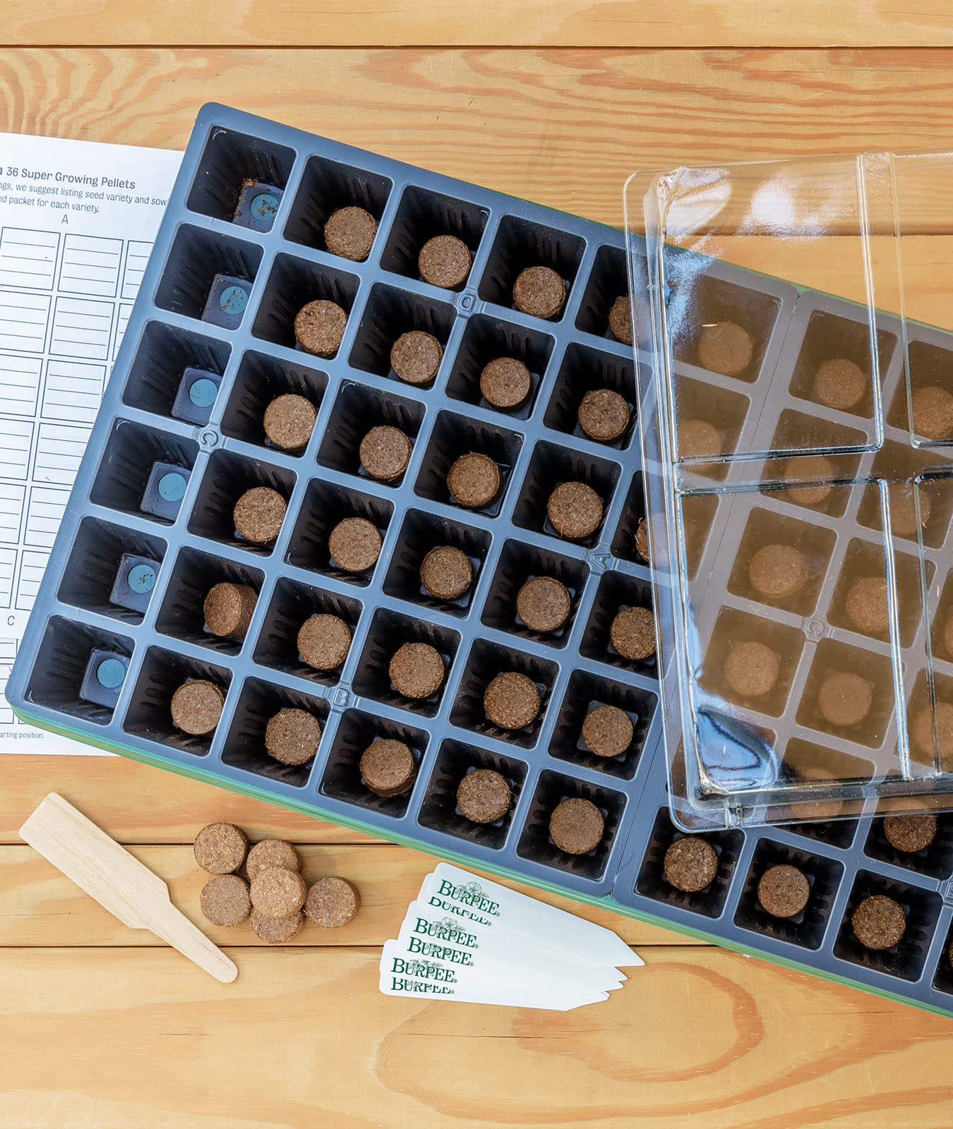 Burpee SuperSeed Seed Starting Tray & Organic Coconut Coir Concentrated