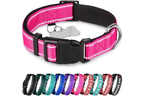 TECEUM Reflective Neoprene Padded Dog Collar with Quick Release Buckle | Hot Pink, Size L fits 16 to 24 in neck, 1 in wide, A