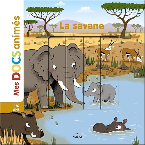 Download La savane PDF