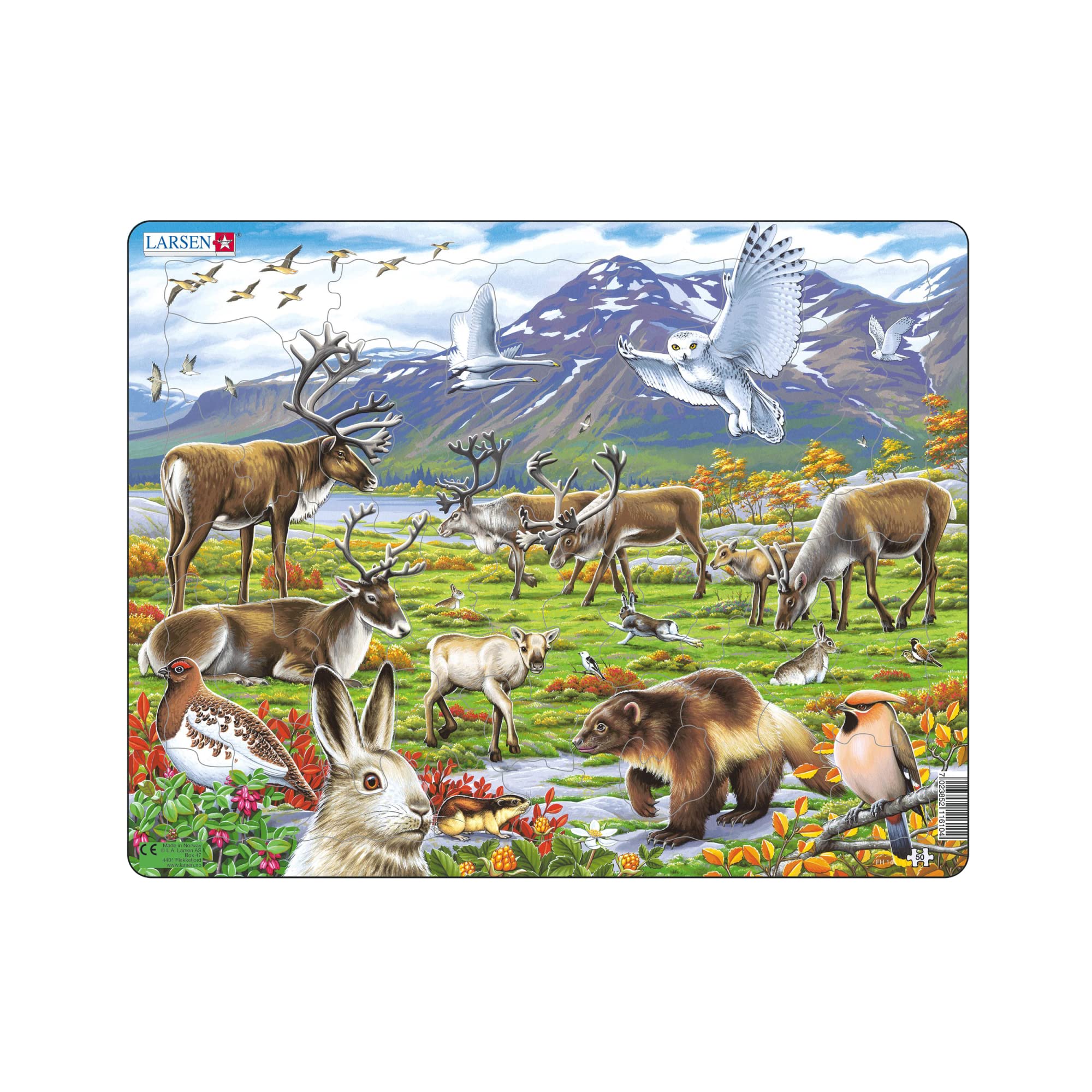 Larsen FH14 Arctic Tundra Jigsaw Puzzle – 50-Piece Tray Puzzle for Kids (Reindeer, Wolverine, Arctic Hare & More) – Educational Wildlife Puzzle Ages 4+