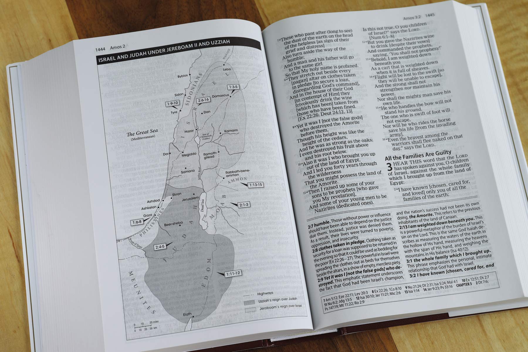 The Amplified Study Bible, Hardcover
