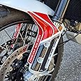 Resin Bike Motorcycle 3D Stickers Compatible with Ducati DesertX 2022. Fender Side Plates Protections from Impact and Scratches. Motorcycle Resin Stickers - Made in Italy