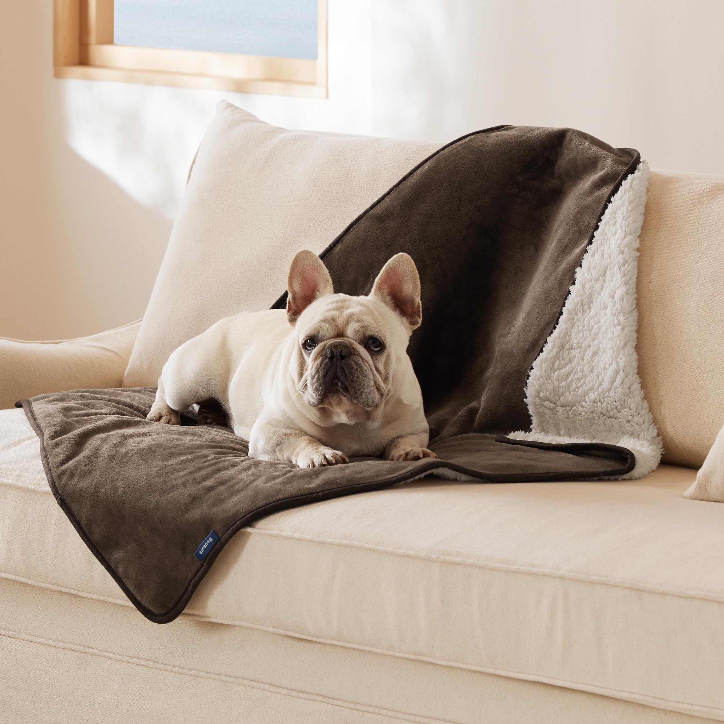 Fleece Blankets French Bulldog Blanket Amazon Bedsure Waterproof