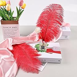 THARAHT 24pcs Red Ostrich Feathers Natural Bulk