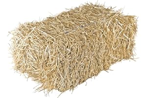 Garden Elements Straw Bale by Shady Creek Farm, Multi-Use for Farm & Home, Medium Straw Bale, 22"