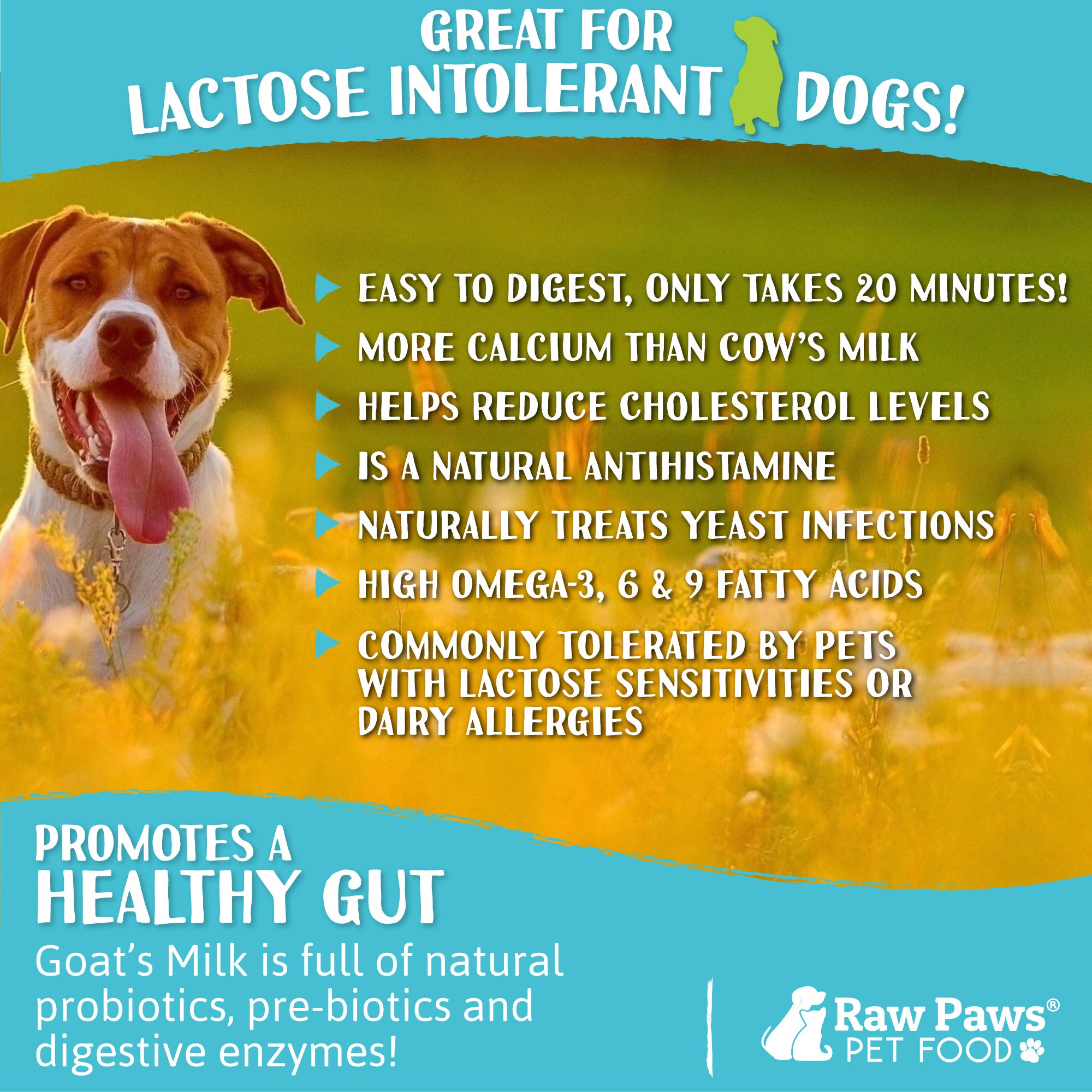 evaporated goat milk for kittens