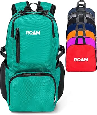 small water resistant backpack