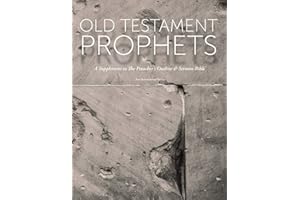 Old Testament Prophets: A Supplement to The Preacher's Outline & Sermon Bible (NIV) (The Preacher's Outline & Sermon Bible Studies)
