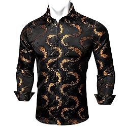 Barry.Wang Mens Mexico Shirts Silk Paisley Long