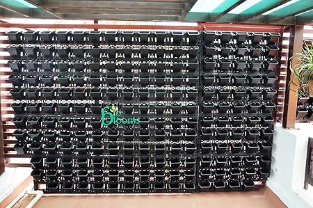 BIO BLOOMS AGRO INDIA PRIVATE LIMITED Plastic Hanging Pot - Multicolour, Standard, Pack of 15 Frame with 45 Pots