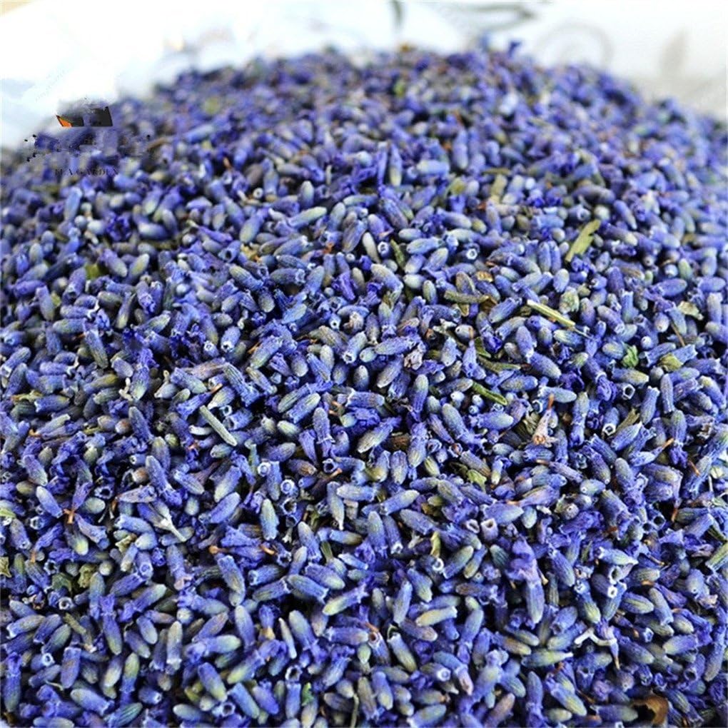 EBUYOM 1 Pound Dried Lavender Buds Home Fragrance Dry Flowers Fragrant