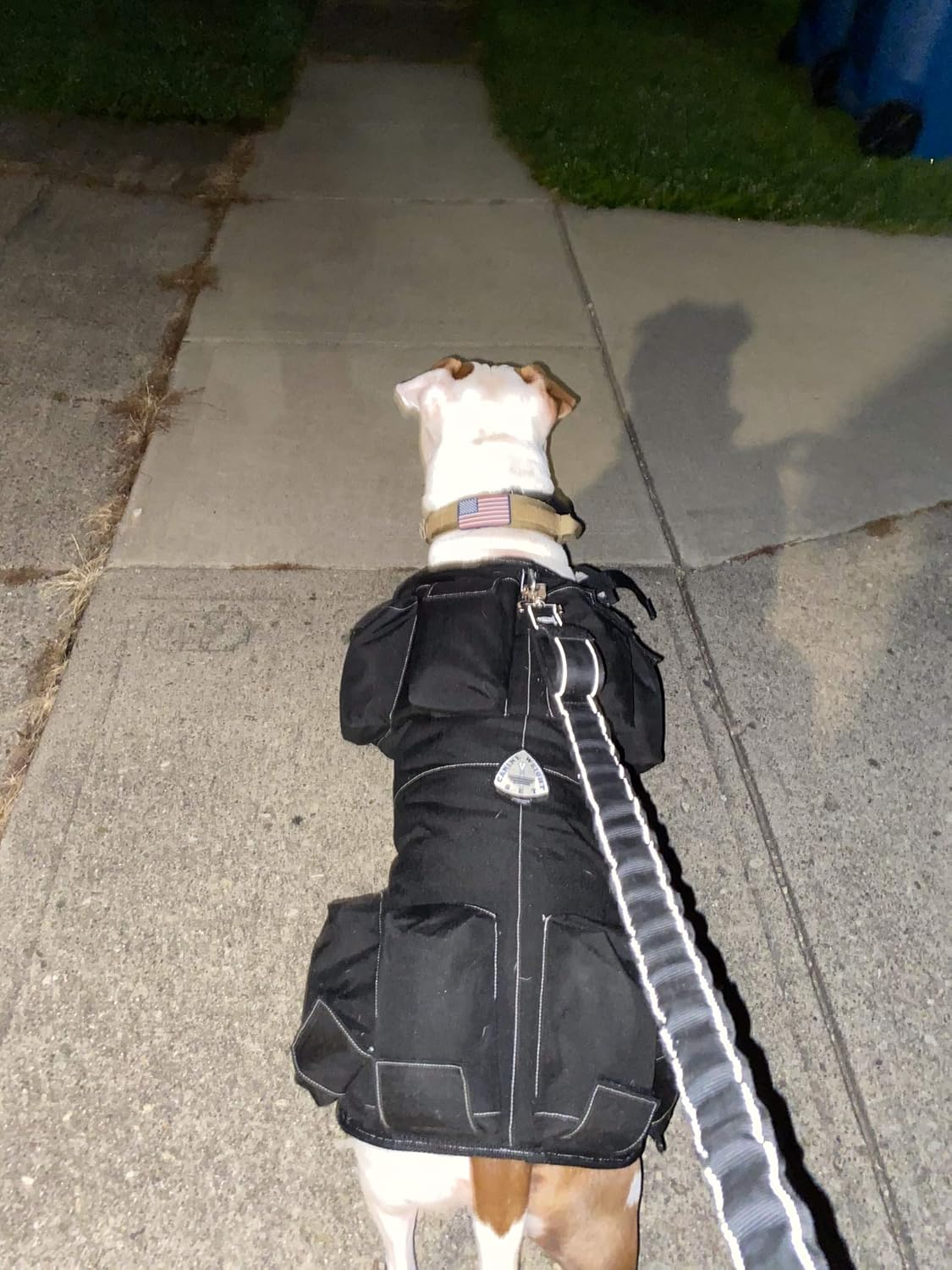 dog weight harness