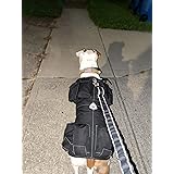 leerburg weighted dog vest