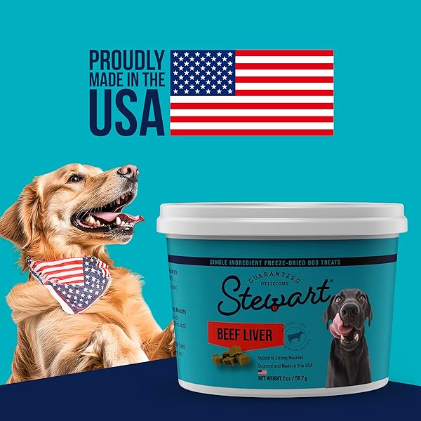 STEWART SINGLE INGREDIENT FREEZE DRIED RAW DOG TREATS, BEEF LIVER, 12 OUNCE RESEALABLE TUB, TRAINING TREATS OR MEAL TOPPER FOR ALL SIZE DOGS, HIGH PROTEIN, GRAIN-FREE, GLUTEN-FREE