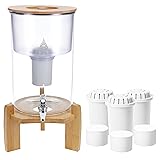Invigorated Water pH Recharge Glass Countertop