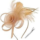 DRESHOW Fascinators Hats for Women Tea Party Fascinator Hats Vintage 50s Headwear Cocktail Wedding Church Derby Hat