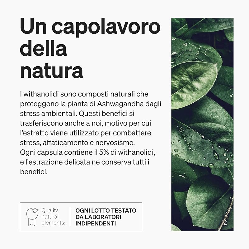 Bio Ashwagandha KSM-66 – Alto Dosaggio – 180 Capsule – Ashwagandha Bio Certificata – Capsule di Ashwagandha Polvere Estratta dalla Withania Somnifera – Eletto PRODOTTO DELL'ANNO 2026