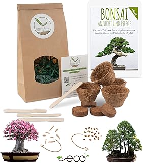 Bonsai Starter Kit Anzuchtset inkl. GRATIS eBook - Pflanzset aus Kokostöpfen, Samen & Erde - nachhaltige Geschenkidee für Pflanzenfreunde (Wüstenrose + Berg Mammutbaum)