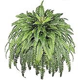 CongfuHepMui Artificial Ferns for Outdoors, 68" Fake Fern Artificial Plants Large, UV Resistant Faux Boston Fern Suitable for Porch Planters Home Indoors Entrance Patio Garden Porch (1 Stem)